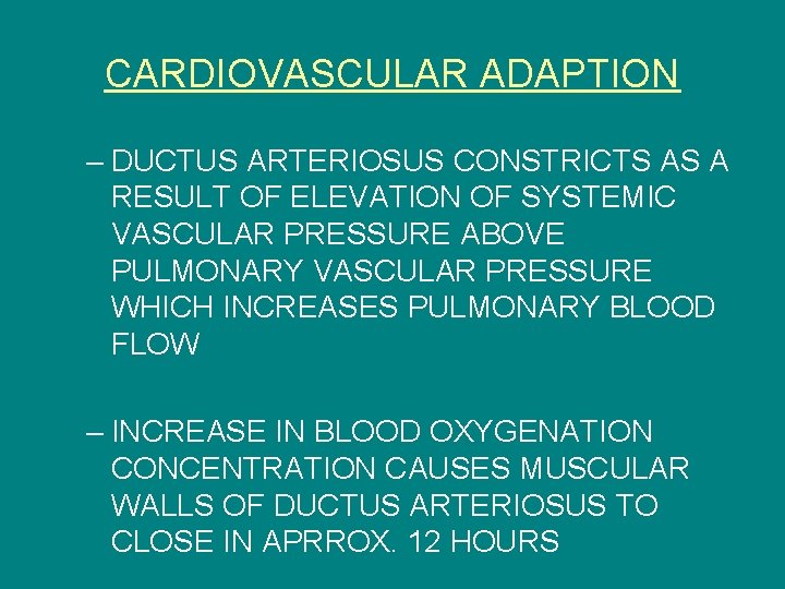 CARDIOVASCULAR ADAPTION – DUCTUS ARTERIOSUS CONSTRICTS AS A RESULT OF ELEVATION OF SYSTEMIC VASCULAR