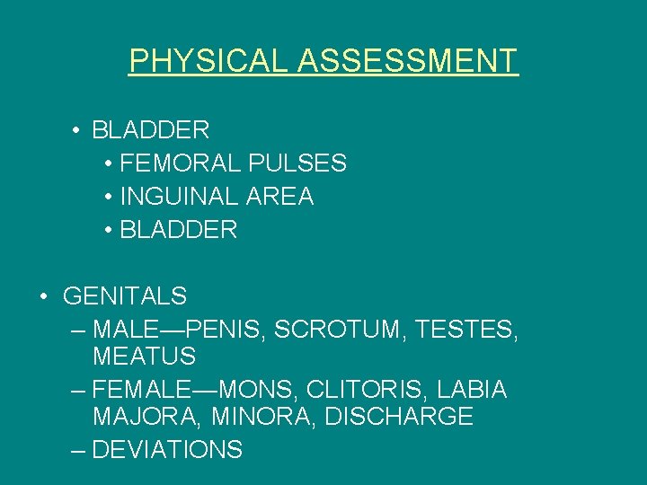 PHYSICAL ASSESSMENT • BLADDER • FEMORAL PULSES • INGUINAL AREA • BLADDER • GENITALS