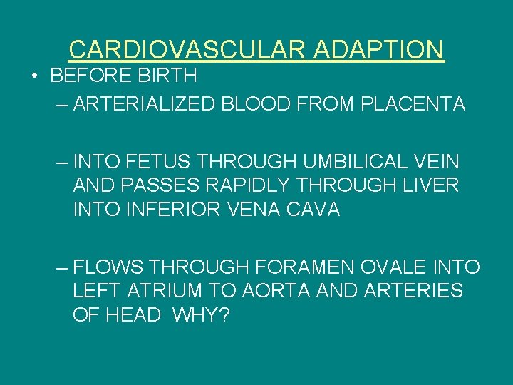 CARDIOVASCULAR ADAPTION • BEFORE BIRTH – ARTERIALIZED BLOOD FROM PLACENTA – INTO FETUS THROUGH