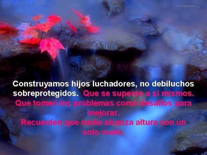 Construyamos hijos luchadores, no debiluchos sobreprotegidos. Que se superen a sí mismos. Que tomen