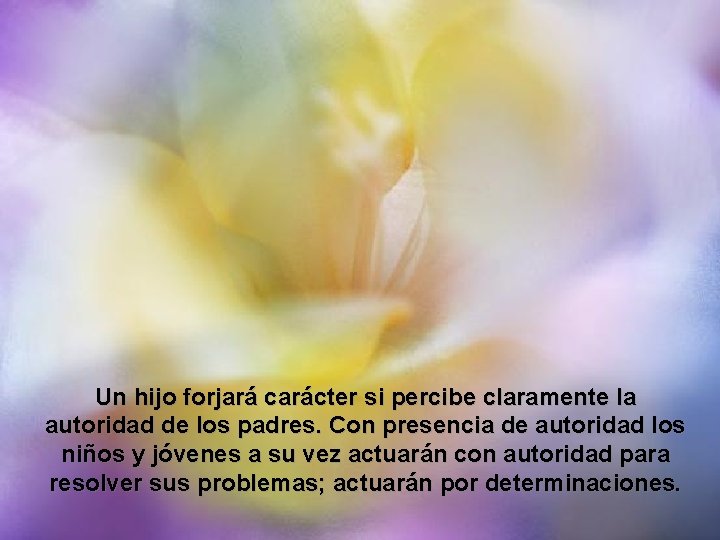 Un hijo forjará carácter si percibe claramente la autoridad de los padres. Con presencia