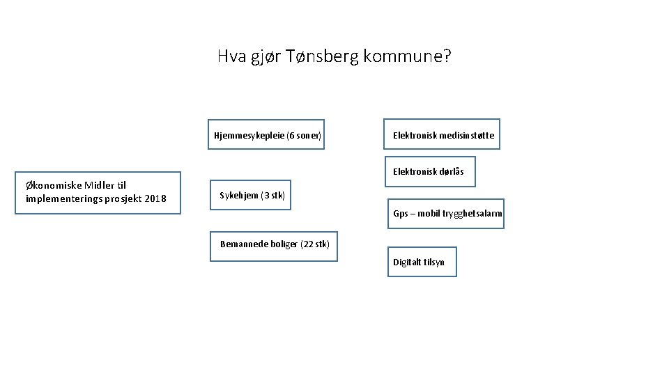 Hva gjør Tønsberg kommune? Hjemmesykepleie (6 soner) Elektronisk medisinstøtte Elektronisk dørlås Økonomiske Midler til