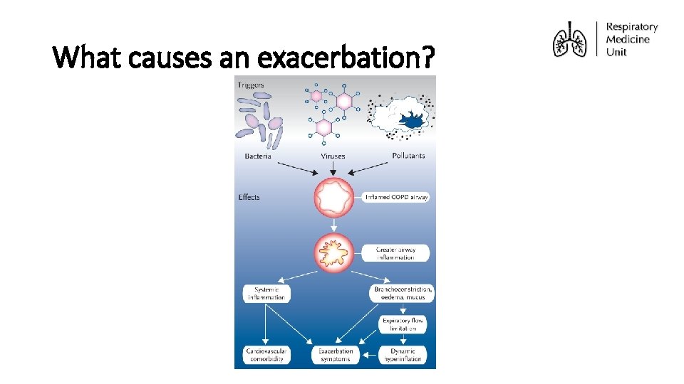 What causes an exacerbation? 