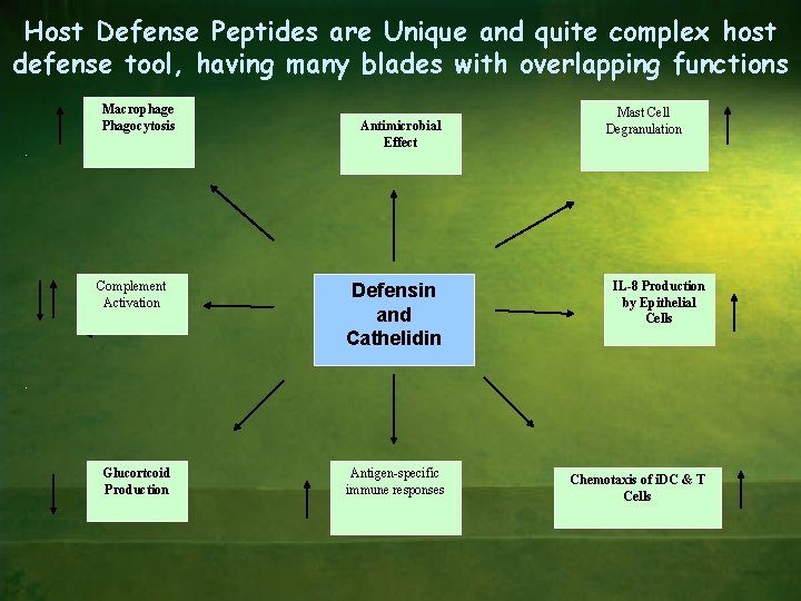 Host Defense Peptides are Unique and quite complex host defense tool, having many blades