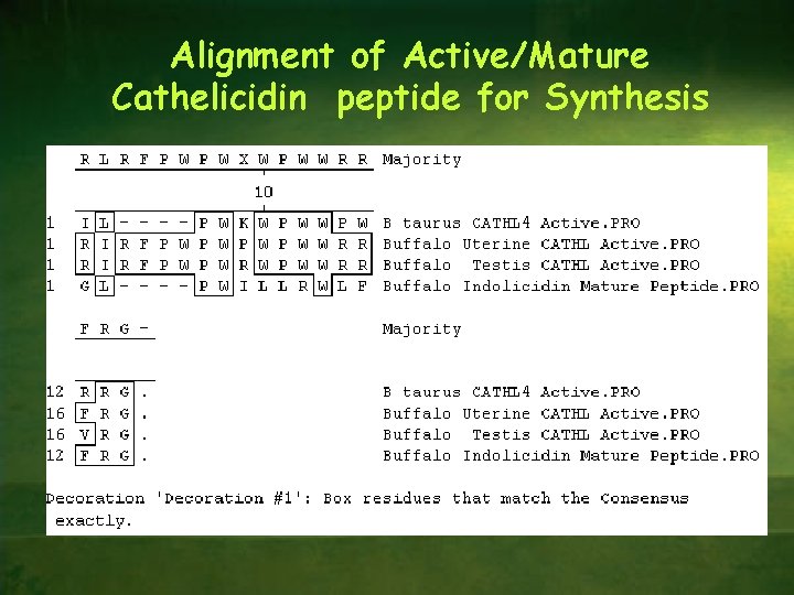Alignment of Active/Mature Cathelicidin peptide for Synthesis 