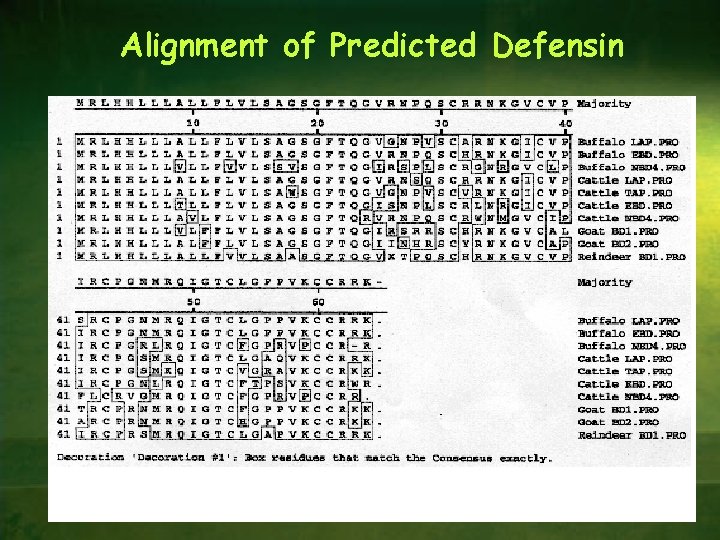 Alignment of Predicted Defensin 