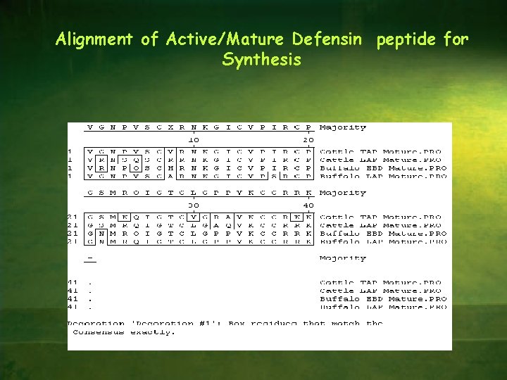 Alignment of Active/Mature Defensin peptide for Synthesis 