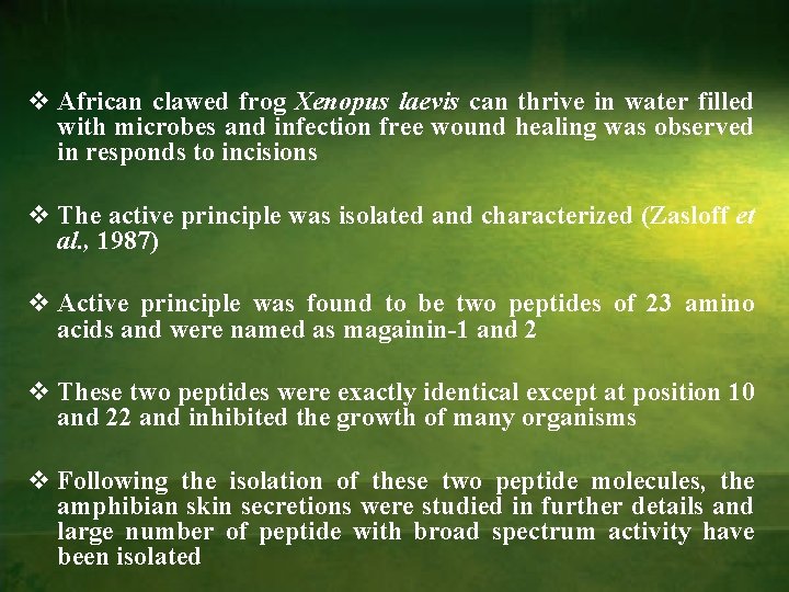 v African clawed frog Xenopus laevis can thrive in water filled with microbes and