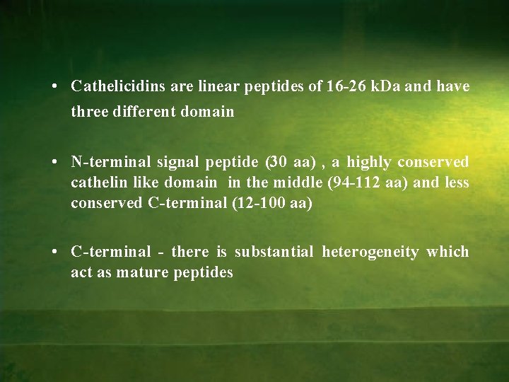  • Cathelicidins are linear peptides of 16 -26 k. Da and have three