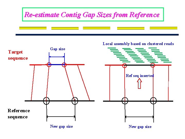 Re-estimate Contig Gap Sizes from Reference Local assembly based on clustered reads Target sequence