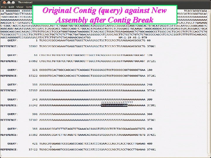 Original Contig (query) against New Assembly after Contig Break 