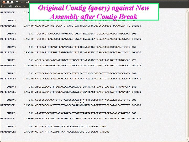Original Contig (query) against New Assembly after Contig Break 