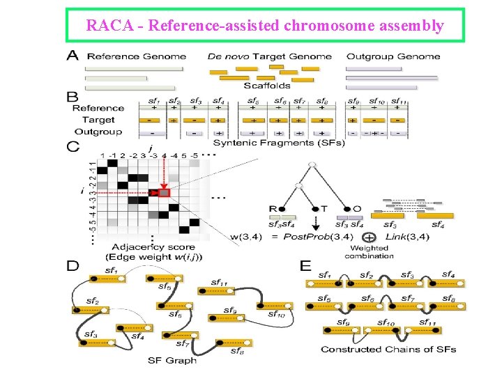 RACA - Reference-assisted chromosome assembly 