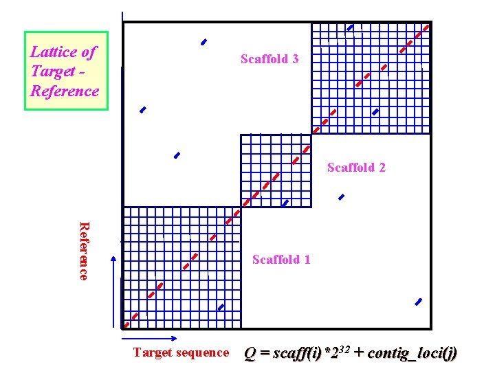 Lattice of Target Reference Scaffold 3 Scaffold 2 Reference Scaffold 1 Target sequence Q