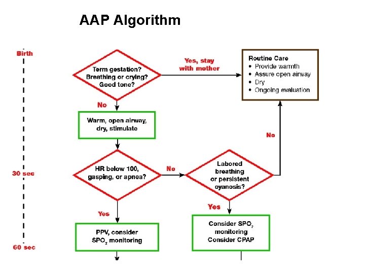 AAP Algorithm 