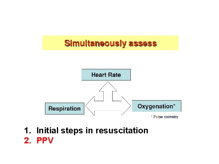 1. Initial steps in resuscitation 2. PPV 