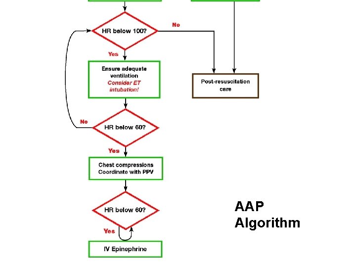 AAP Algorithm 