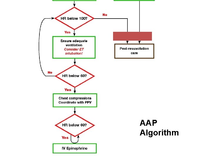 AAP Algorithm 