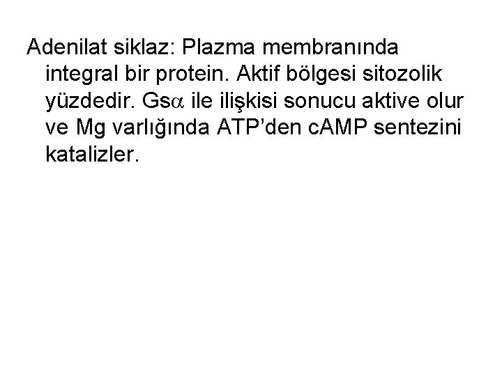 Adenilat siklaz: Plazma membranında integral bir protein. Aktif bölgesi sitozolik yüzdedir. Gs ile ilişkisi