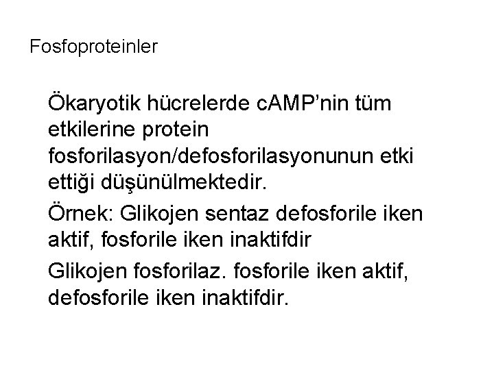 Fosfoproteinler Ökaryotik hücrelerde c. AMP’nin tüm etkilerine protein fosforilasyon/defosforilasyonunun etki ettiği düşünülmektedir. Örnek: Glikojen