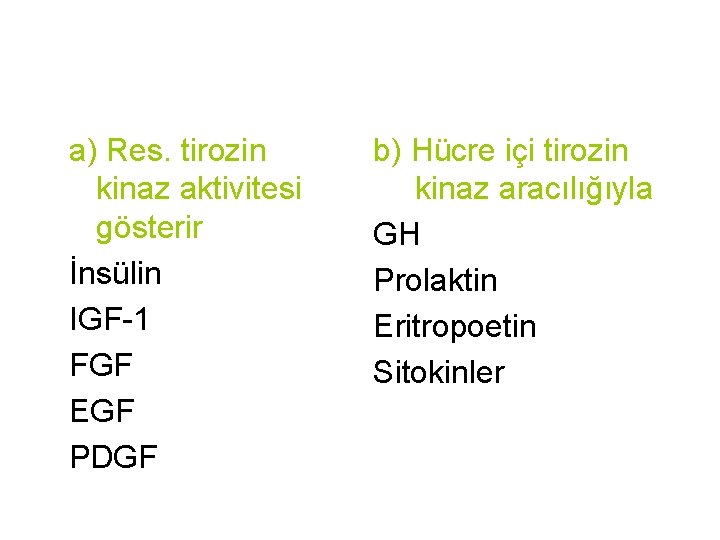 a) Res. tirozin kinaz aktivitesi gösterir İnsülin IGF-1 FGF EGF PDGF b) Hücre içi