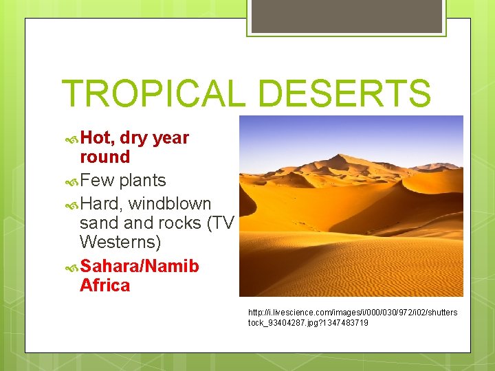 TROPICAL DESERTS Hot, dry year round Few plants Hard, windblown sand rocks (TV Westerns)
