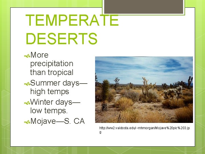 TEMPERATE DESERTS More precipitation than tropical Summer days— high temps Winter days— low temps.