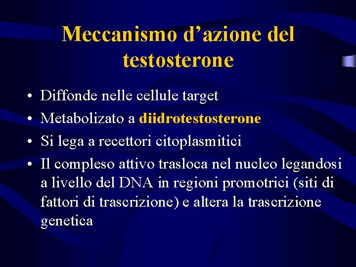 Meccanismo d’azione del testosterone • • Diffonde nelle cellule target Metabolizato a diidrotestosterone Si