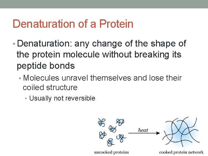 Denaturation of a Protein • Denaturation: any change of the shape of the protein