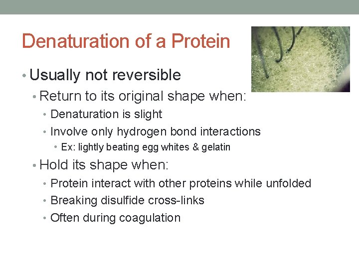 Denaturation of a Protein • Usually not reversible • Return to its original shape