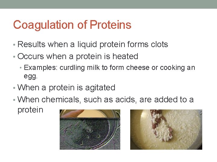 Coagulation of Proteins • Results when a liquid protein forms clots • Occurs when