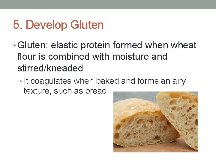 5. Develop Gluten • Gluten: elastic protein formed when wheat flour is combined with