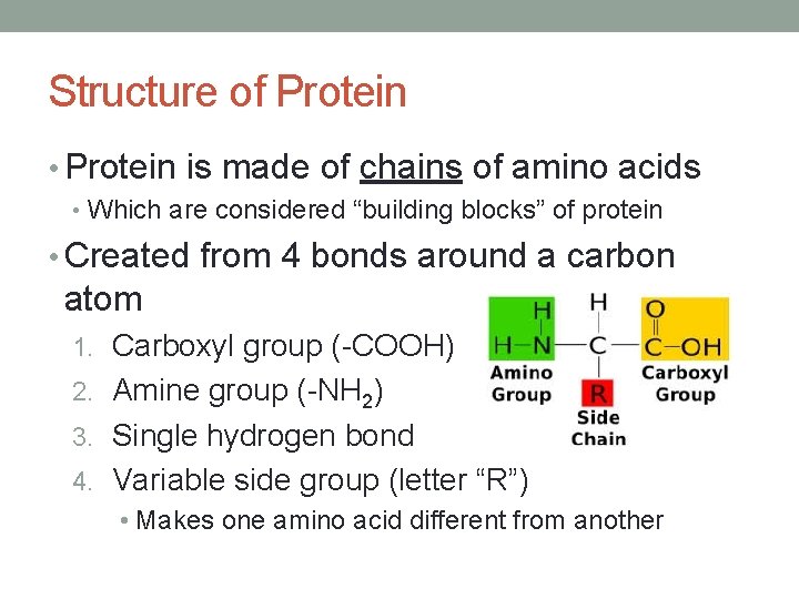 Structure of Protein • Protein is made of chains of amino acids • Which