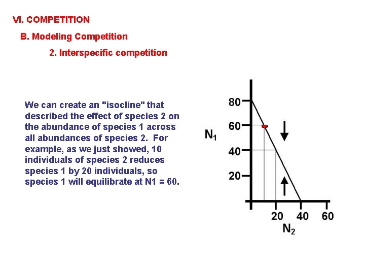 VI. COMPETITION B. Modeling Competition 2. Interspecific competition We can create an "isocline" that