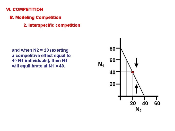 VI. COMPETITION B. Modeling Competition 2. Interspecific competition and when N 2 = 20