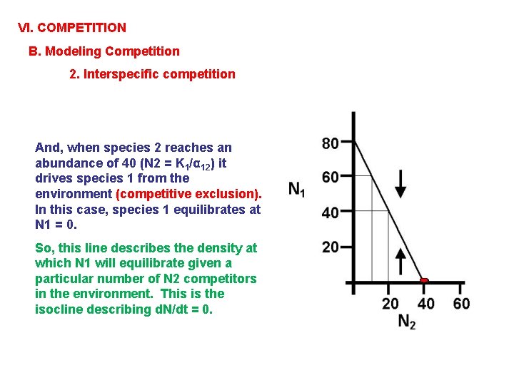 VI. COMPETITION B. Modeling Competition 2. Interspecific competition And, when species 2 reaches an