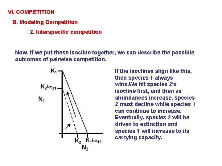VI. COMPETITION B. Modeling Competition 2. Interspecific competition Now, if we put these isocline