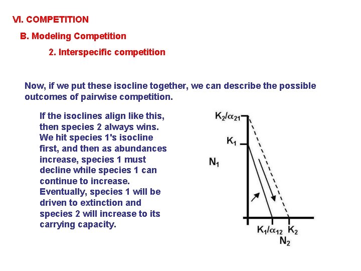 VI. COMPETITION B. Modeling Competition 2. Interspecific competition Now, if we put these isocline