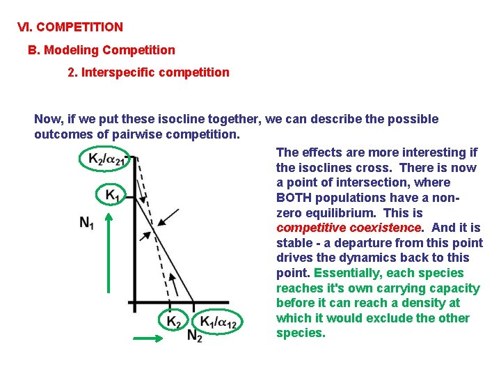 VI. COMPETITION B. Modeling Competition 2. Interspecific competition Now, if we put these isocline