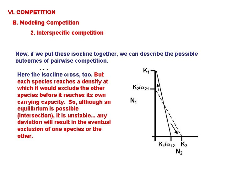 VI. COMPETITION B. Modeling Competition 2. Interspecific competition Now, if we put these isocline