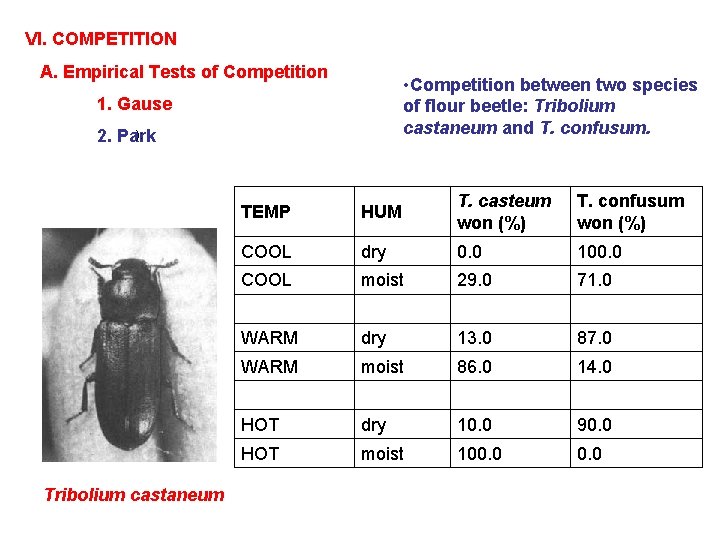 VI. COMPETITION A. Empirical Tests of Competition • Competition between two species of flour
