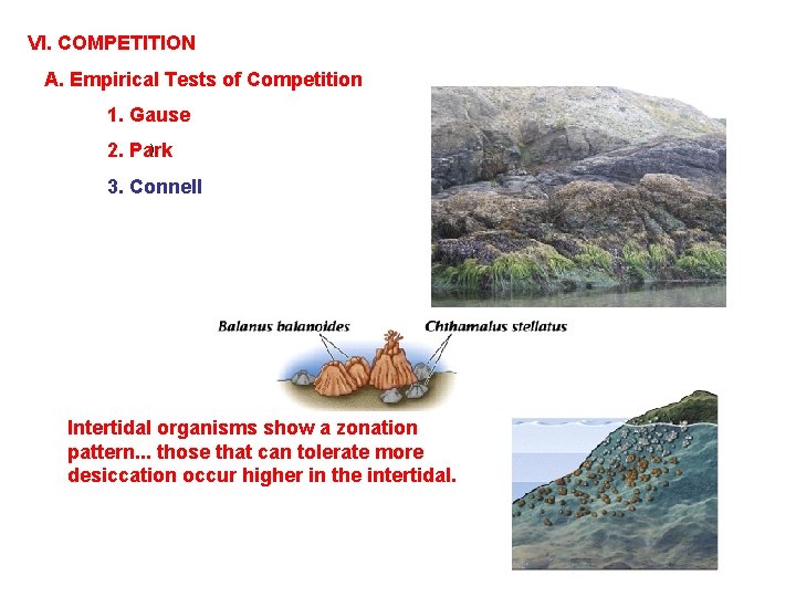 VI. COMPETITION A. Empirical Tests of Competition 1. Gause ): 2. Park 3. Connell