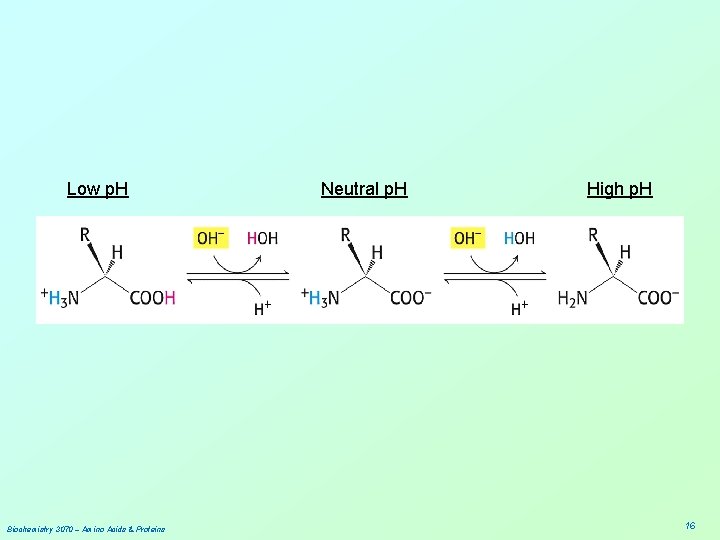 Low p. H Biochemistry 3070 – Amino Acids & Proteins Neutral p. H High