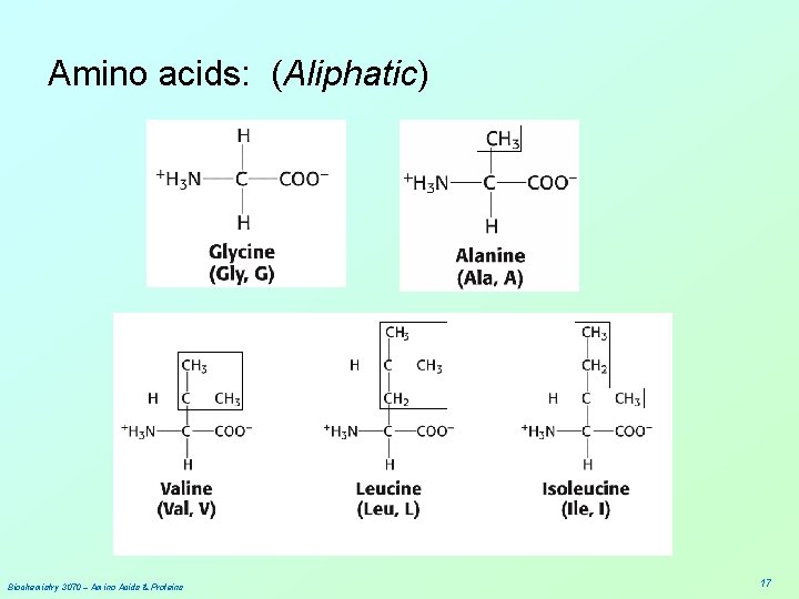 Amino acids: (Aliphatic) Biochemistry 3070 – Amino Acids & Proteins 17 