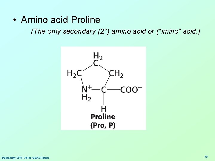  • Amino acid Proline (The only secondary (2°) amino acid or (“imino” acid.