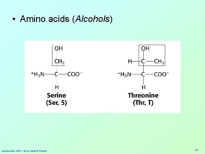  • Amino acids (Alcohols) Biochemistry 3070 – Amino Acids & Proteins 20 