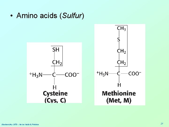  • Amino acids (Sulfur) Biochemistry 3070 – Amino Acids & Proteins 21 