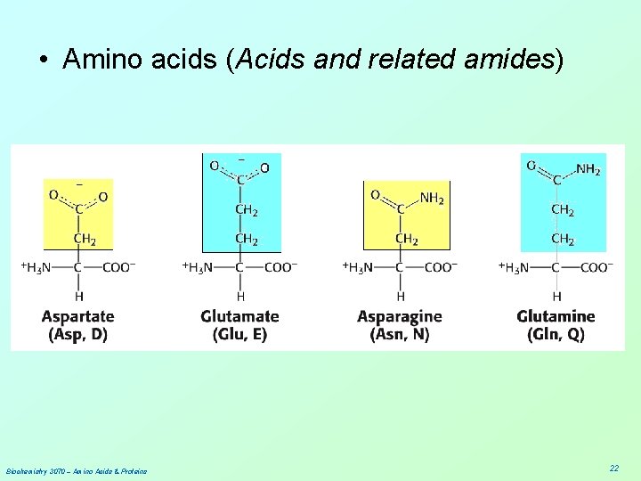  • Amino acids (Acids and related amides) Biochemistry 3070 – Amino Acids &