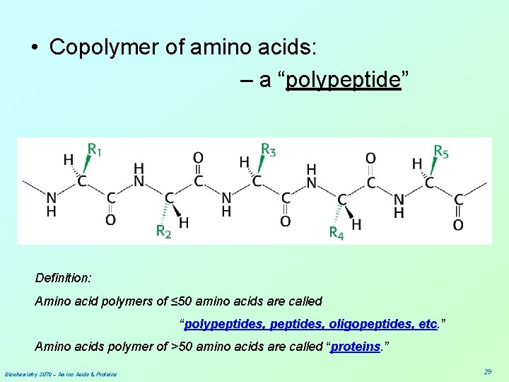  • Copolymer of amino acids: – a “polypeptide” Definition: Amino acid polymers of