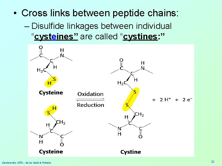  • Cross links between peptide chains: – Disulfide linkages between individual “cysteines” are